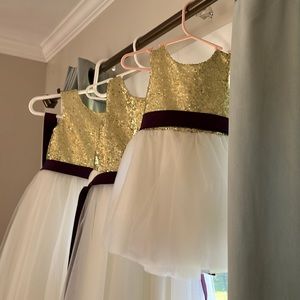 Flower girl dress, size 12 months